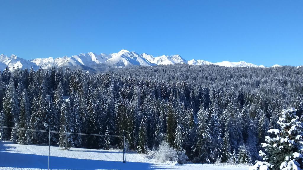 Apartamenty Z Widokiem Na Gory Bukowina Tatrzanska Bagian luar foto